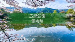 愛媛県新居浜市広瀬公園の桜満開!桜の見頃にお花見と撮影を!新居浜市広瀬歴史記念館