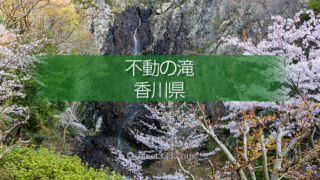 不動の滝カントリーパーク満開の桜並木が憩いの場！香川県三豊市 ドローン撮影