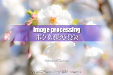 ピントが甘い写真あえてボカしてデジタル現像！失敗写真を生かす！RAW現像の一例