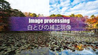 現像力で失敗写真を復元！多少の設定ミスは諦めないで蘇らせる！白とびや影の暗さを補正