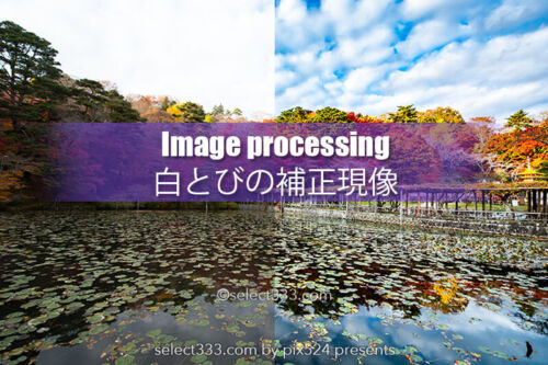 現像力で失敗写真を復元！多少の設定ミスは諦めないで蘇らせる！白とびや影の暗さを補正