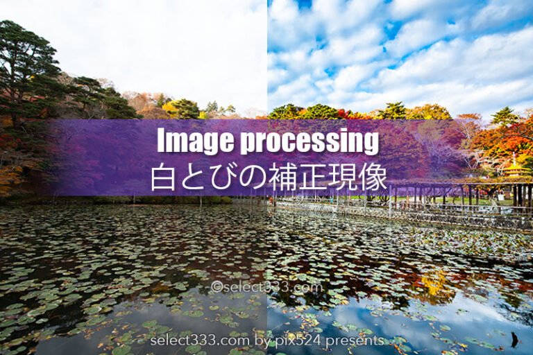 現像力で失敗写真を復元！多少の設定ミスは諦めないで蘇らせる！白とびや影の暗さを補正