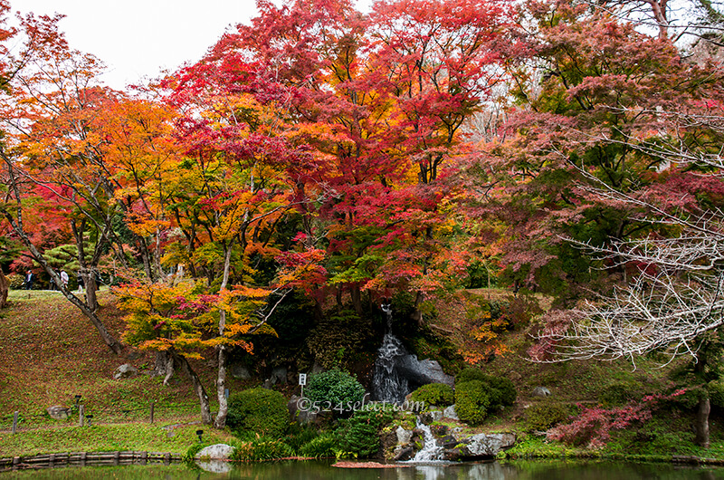二本松城(霞ヶ城公園)紅葉の見頃は?福島県名城秋の風景!紅葉狩りと撮影攻略