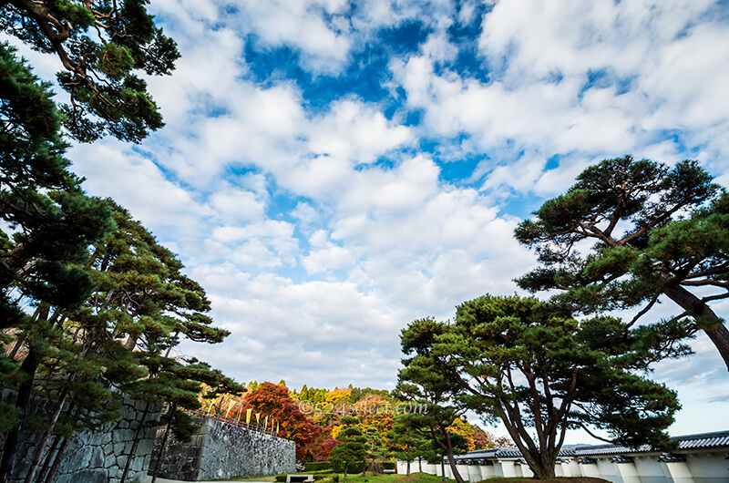 二本松城(霞ヶ城公園)紅葉の見頃は?福島県名城秋の風景!紅葉狩りと撮影攻略
