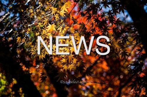 スマホで表示されない！11月3日〜5日まで対処に追われる！xserverとAffinger