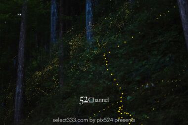 インターバル撮影とは?連続写真で合成・動画にして作品作り!機能を生かすテクニック:writing and Photo by pix524:Masaya Konishi (小西雅哉)写真を楽しむブログ 主宰