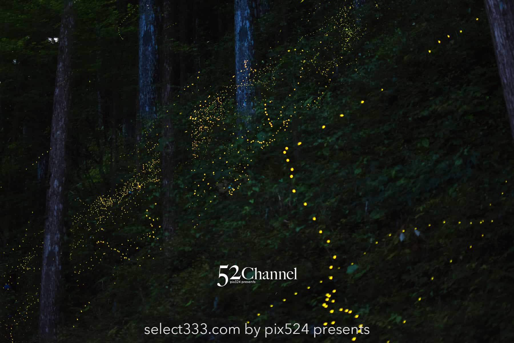 インターバル撮影とは？連続写真で合成・動画にして作品作り！機能を生かすテクニック：writing and Photo by pix524:Masaya Konishi （小西雅哉）写真を楽しむブログ 主宰