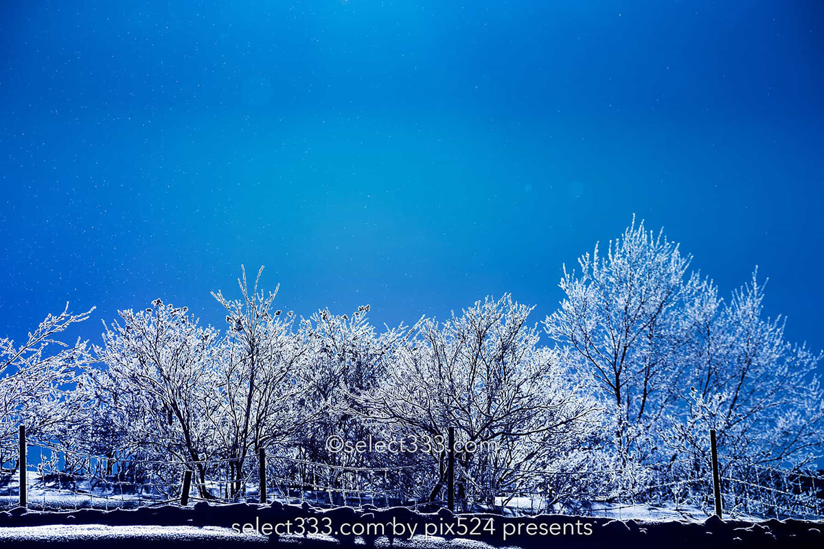 雪景色の撮影方法は?霧氷・樹氷・氷柱・積雪や雪が降る風景!冬の美しい被写体