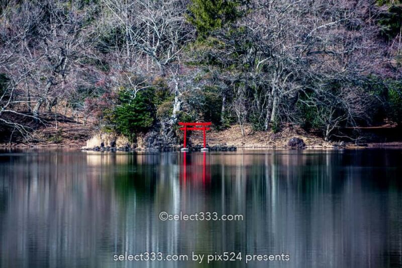 長時間露光の特殊撮影方法!水辺の森林風景を特別な手法で撮影!風景写真の作品作り