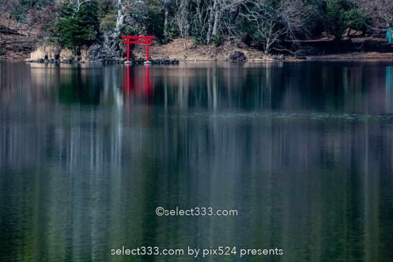 長時間露光の特殊撮影方法!水辺の森林風景を特別な手法で撮影!風景写真の作品作り