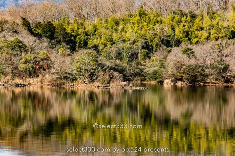 長時間露光の特殊撮影方法!水辺の森林風景を特別な手法で撮影!風景写真の作品作り