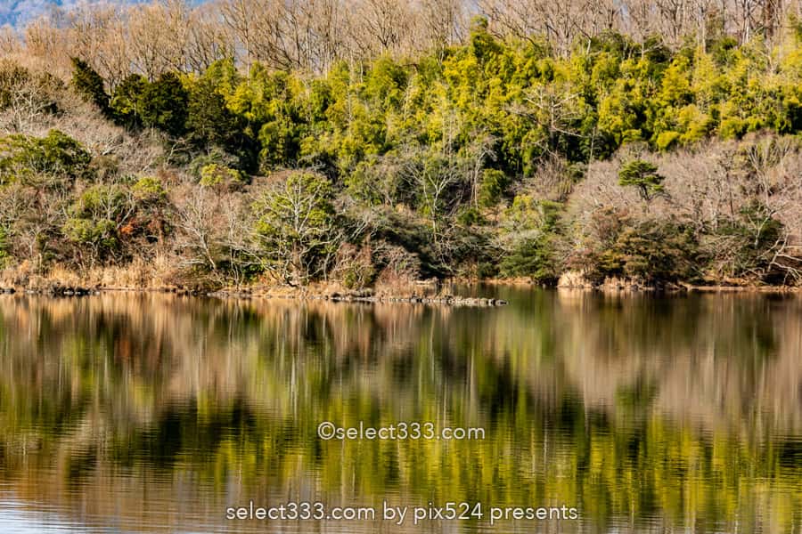 長時間露光の特殊撮影方法！水辺の森林風景を特別な手法で撮影！風景写真の作品作り
