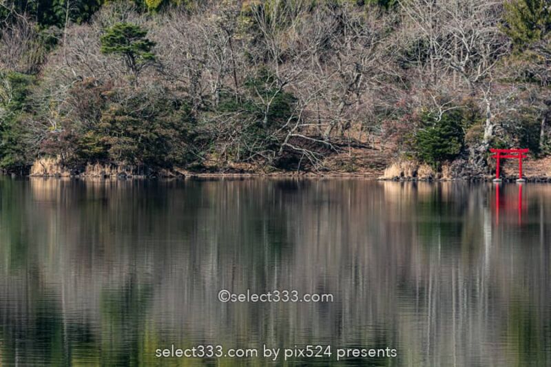 長時間露光の特殊撮影方法!水辺の森林風景を特別な手法で撮影!風景写真の作品作り