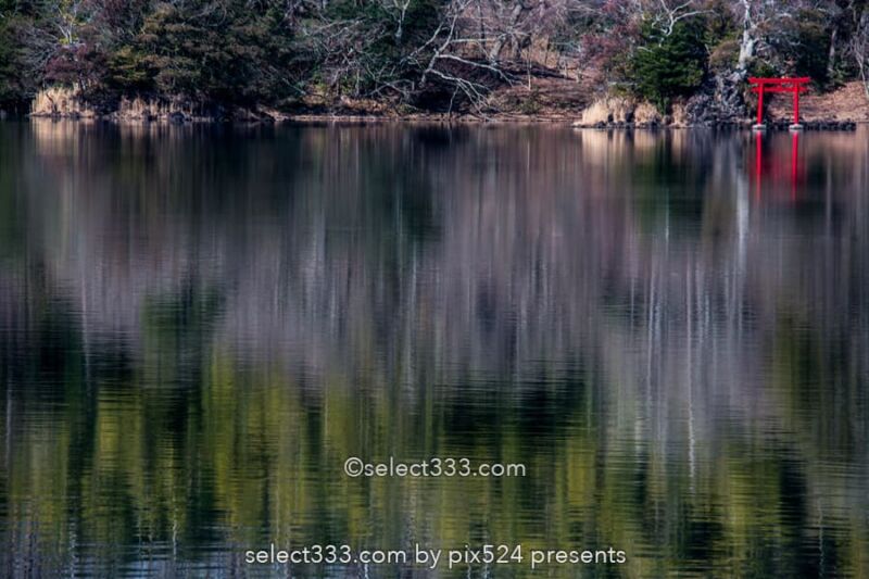長時間露光の特殊撮影方法!水辺の森林風景を特別な手法で撮影!風景写真の作品作り