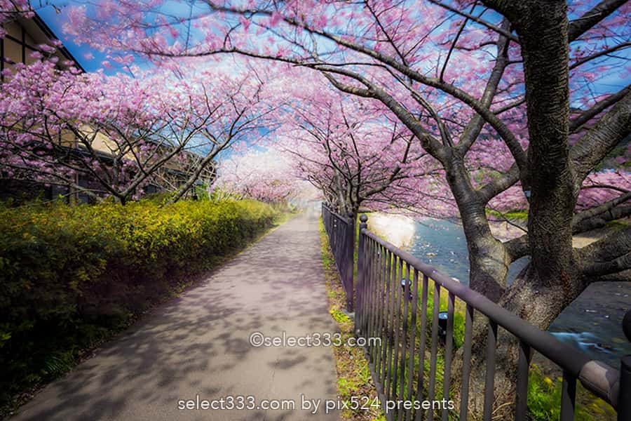 夜景で人を消す撮影方法!イルミネーションの人混みを写さず撮影!日中の撮影も可能