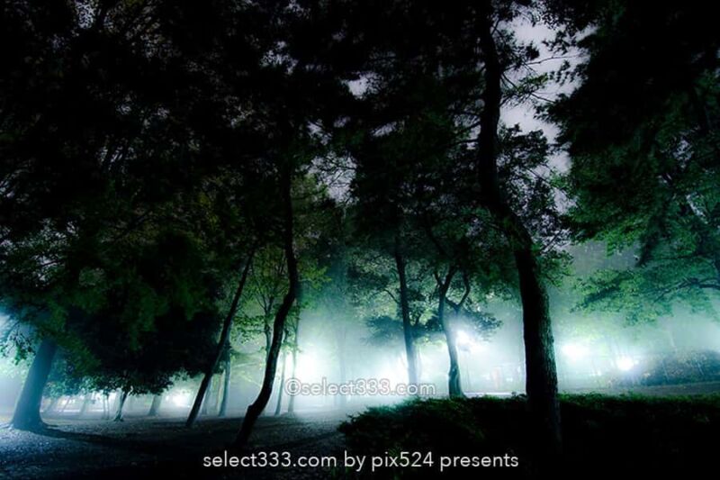 湖霧・川霧・毛嵐の撮影！幻想的な朝霧・夜霧・海の霧や湖面の霧！自然現象による被写体