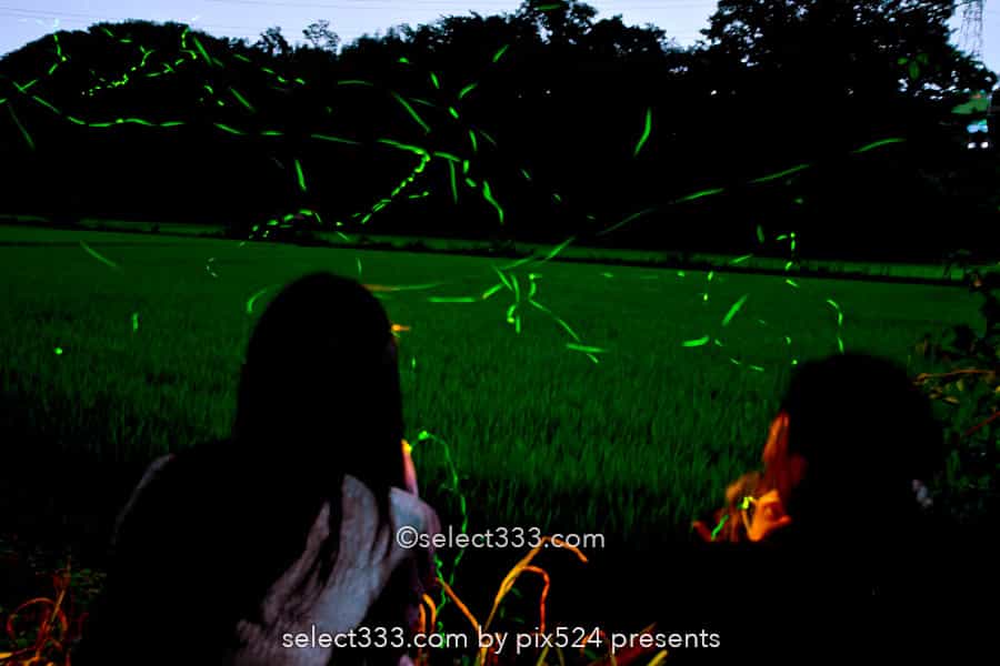 ホタルの撮影方法！長時間露光で撮り比較明合成で編集する蛍！夏の始まりの幻想風景