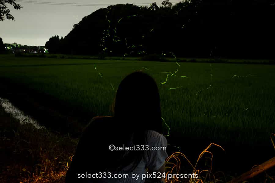 ホタルの撮影方法！長時間露光で撮り比較明合成で編集する蛍！夏の始まりの幻想風景