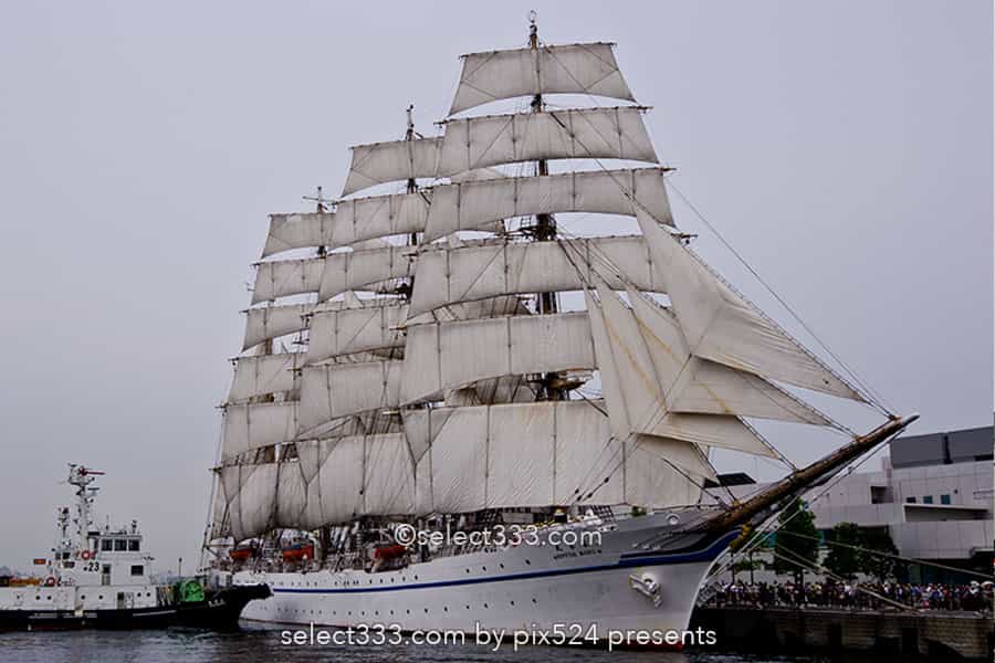 日本丸・海王丸の撮影!今どこの海に?寄港地を知り帆船を撮る!日本丸・海王丸の撮影