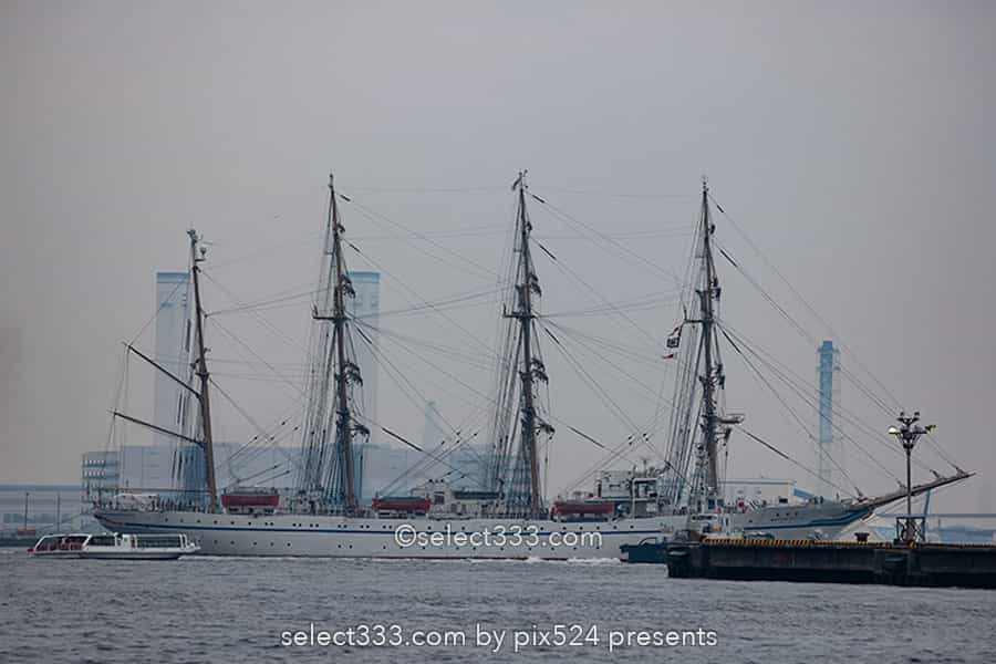日本丸・海王丸の撮影!今どこの海に?寄港地を知り帆船を撮る!日本丸・海王丸の撮影