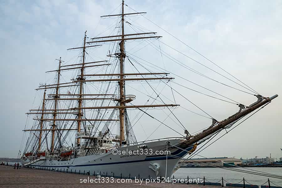 日本丸・海王丸の撮影!今どこの海に?寄港地を知り帆船を撮る!日本丸・海王丸の撮影