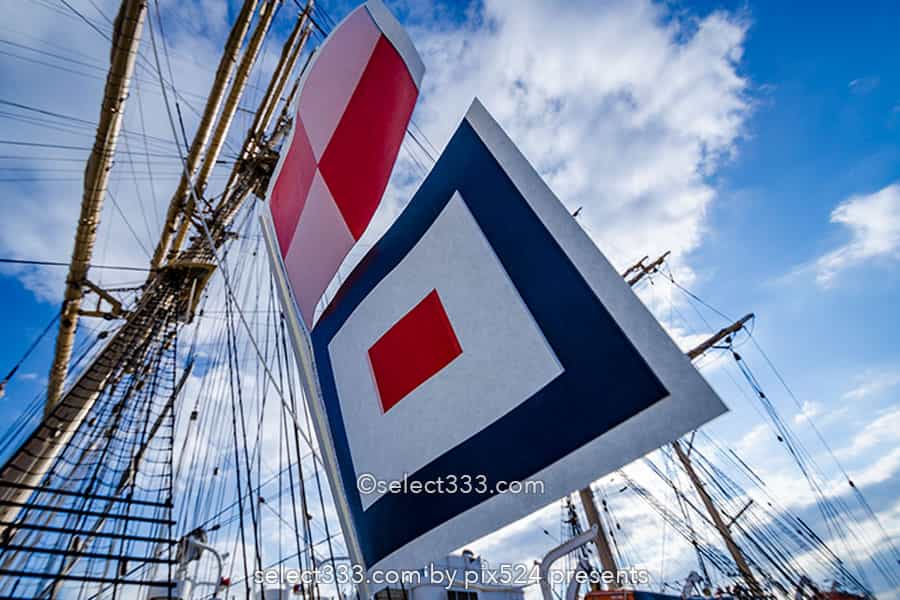 日本丸・海王丸:今どこにいる?寄港地を知る帆船の撮影方法とは?一般公開と帰港地の撮影