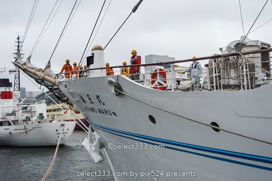 日本丸・海王丸の撮影!今どこの海に?寄港地を知り帆船を撮る!日本丸・海王丸の撮影