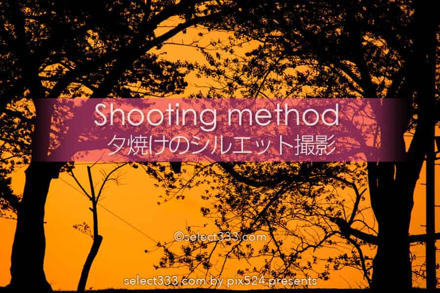 夕焼け空のシルエット撮影方法 影絵や切り絵に見える風景撮影 夕暮れの