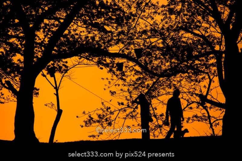 夕焼け空のシルエット撮影方法!影絵や切り絵に見える風景撮影!夕暮れの逆光風景