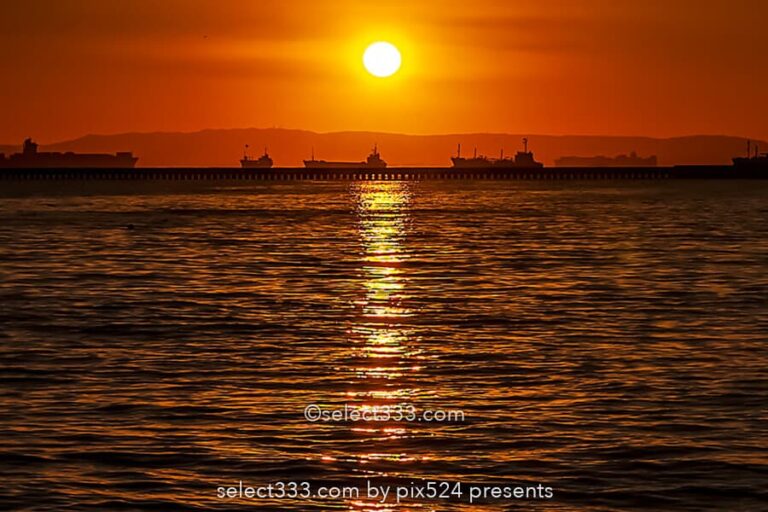 太陽の光の道を撮影！海面や水面に現れる朝日や夕日の光の道！太陽と海の道の撮影方法